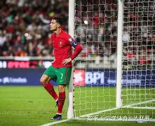 网页版登录入口-多特蒙德吉拉西